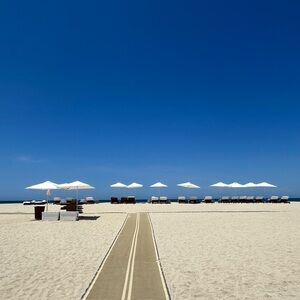 Meet your Posher, Natasha